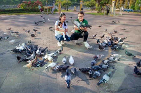 Picture2
